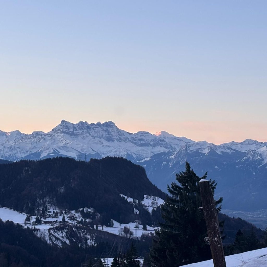 WhatsApp Image 2026-02-20 at 15.49.42-3