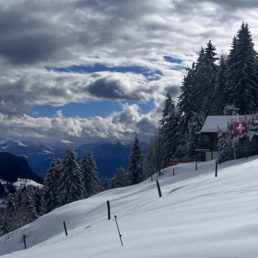 WhatsApp Image 2026-02-20 at 15.49.42-4